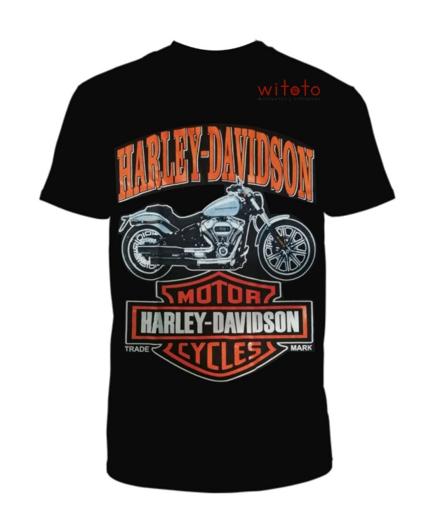 CAMISETA HOMBRE HARLEY DAVIDSON