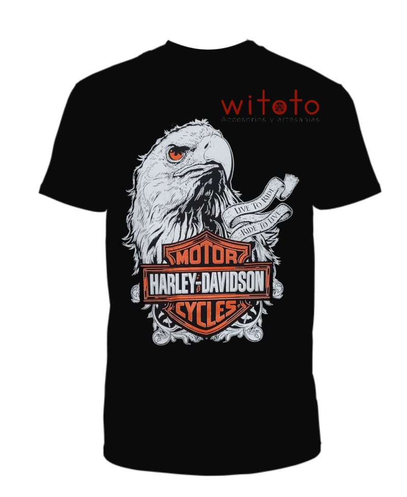 CAMISETA HOMBRE HARLEY DAVIDSON 2