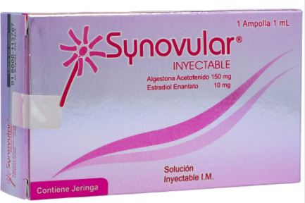 SYNOVULAR INYECTABLE X 1 ML