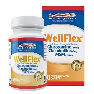 WellFlex 60 Caplets - HEALTHY SPORT