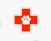 VET - CULTIVO DE BACTERIAS Y HONGOS MANUAL