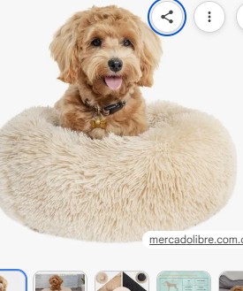 CAMA CONFORT MEDIDAS 60X15X60CM