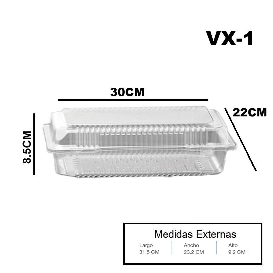 VisualPack VX-1 D720VF100 