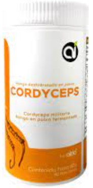 Cordyceps polvo 60gr Aitia - Mineralin