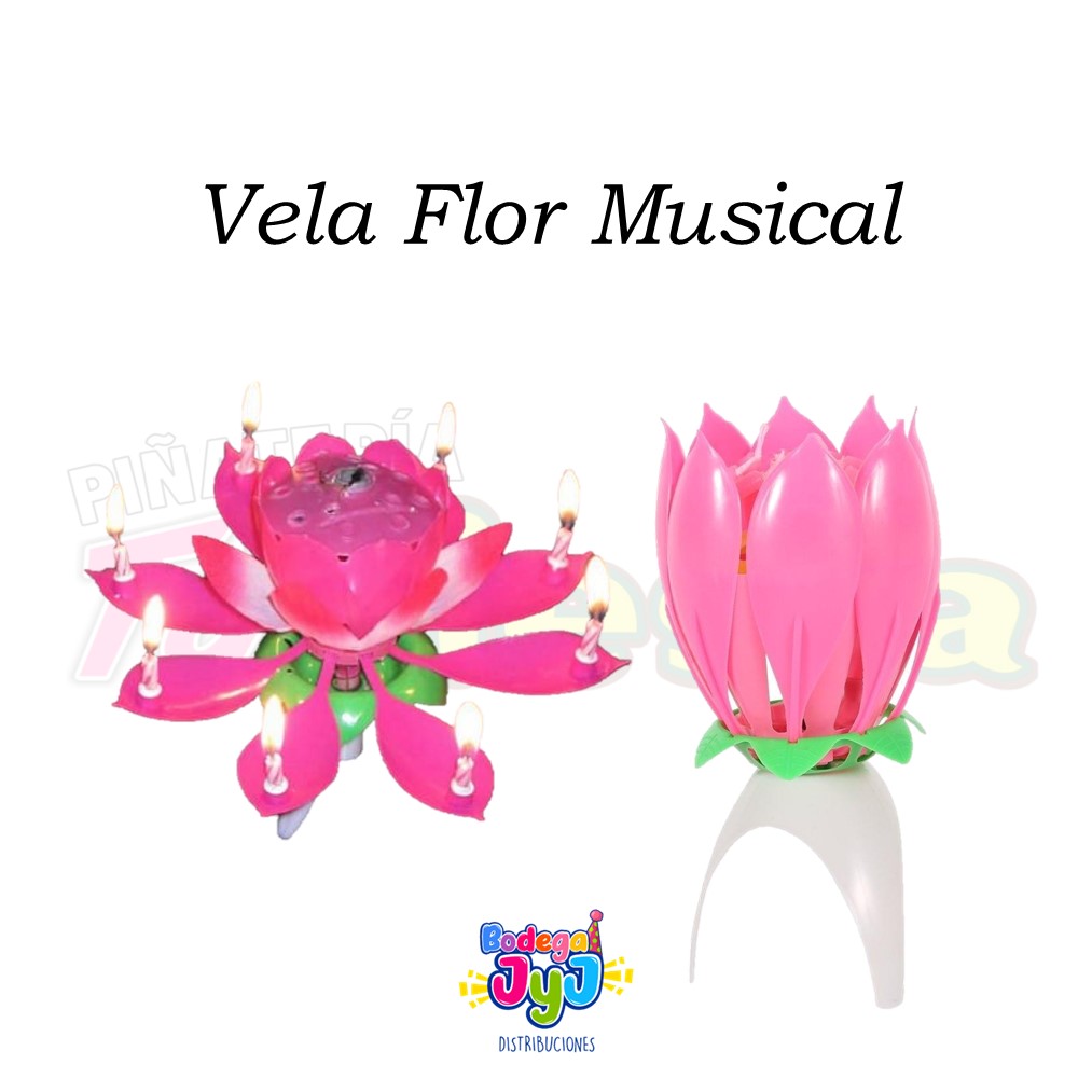 VELA FLOR MUSICAL